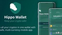 Hippo钱包：为加密货币交易和区块链互动增加新的创新空间