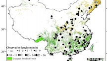 植物所在中国森林土壤碳排放研究中获进展