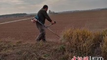 河北武强豆村镇：强化秸秆垃圾杂草清理 提升乡村人居环境