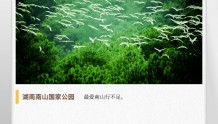 湖湘自然历丨万类霜天竞自由①凭什么成为湖南首个国家公园