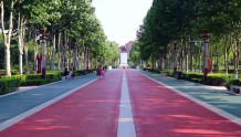 广平：优化城市环境 公园“颜值”再提升