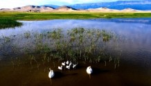 航拍新疆·水影像㉔丨草原湿地环绕鸣沙山