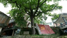 荔波县板寨村：在“红色”引领中实现“绿色”崛起