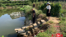 石门黄泥岗社区：抽水灌溉 引水入田