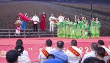 芜湖市2022年农民丰收节开幕式在无为市举办