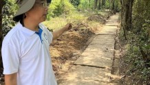 明楚昭王墓园前发现数百米铺石神道，疑为连接各个楚王墓的道路