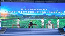 重庆市第五届“斗茶大赛”获奖名单揭晓 五款茶叶夺魁