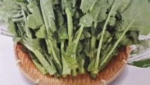 稀奇！“板蓝根油菜”今天上市！吃了可以治感冒吗？