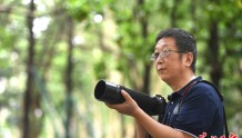 编写校园《飞鸟集》，华科教授用8年时间为校园野鸟拍写真
