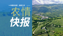 《上海市乡村振兴促进条例》9月1日起正式施行丨农情快报〔2022.9.1〕