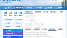 打造“阳光财政”，武汉市政府财政透明度全国第五
