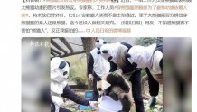 当工作人员穿上熊猫服，网友：哈哈哈熊猫不害怕吗？