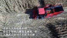 新华全媒+丨吉林：“无人农场”实现玉米无人自动收割