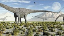看《侏罗纪世界3》的你知道吗？有7种恐龙以浙江命名