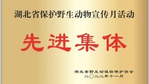 公安县荣获“湖北省保护野生动物宣传月活动先进集体”称号