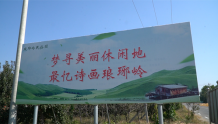 莱州琅琊岭：免袋栽培技术 让苹果“返璞归真”
