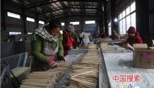 河南淮滨：村里来了加工厂“铅笔板”书写脱贫记