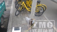 郑州两男子盗用公共电源给自家车充电　车被暂扣