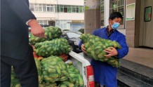 【河南战疫 我们在行动】信阳平桥区：脱贫户两万斤“爱心蔬菜”援“疫”线