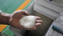商务部官网：中国将从14家印度大米出口企业进口大米