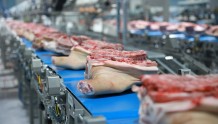 三问上半年农产品价格走势：猪肉价会继续涨吗？