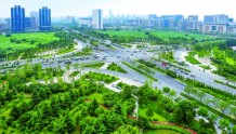 "绿城"郑州7年"增绿"3亿平米 相当于140个碧沙岗公园