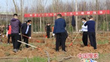 郏县完成春季植树造林4.15万亩