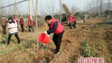 河南舞钢：历时30年打造一片学雷锋主题纪念林