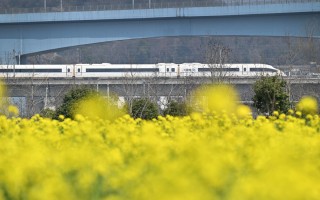 铁路开启“春游模式”，清明火车票下周起售
