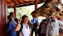 真不是段子！大批中国游客为避暑“逃”到非洲