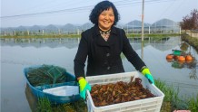 河南光山：小龙虾撬动富民大产业