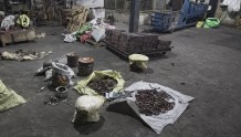 斯里兰卡袭击者的工厂曝光：被用来制造自杀式炸弹背心