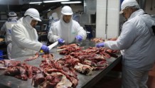 被禁17年后　法国牛肉将再次登上中国人的餐桌