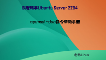 跟老韩学Ubuntu Server 2204-openssl-dsa帮助手册