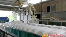 自动化面粉装车机器人降低劳动强度，提高生产效率