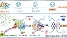 Anal. Chem. - 基于金属-氮-碳纳米酶构建多酶级联反应传感平台
