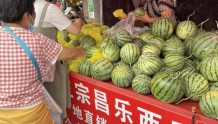 西瓜消费升级？济南“吃瓜群众”越来越青睐小西瓜