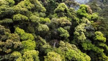 衢州林业碳账户应用场景建设受国家林草局点赞