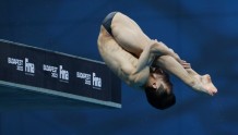 这就是梦之队！中国跳水队包揽世锦赛全部13个项目金牌
