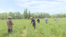 贺兰县强化劳务中介服务 促进农村劳动力转移就业