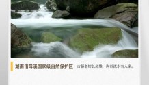 湖湘自然历丨万类霜天竞自由⑦湘西秘境，动植物王国