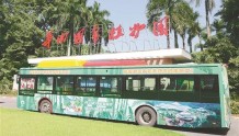 广州上新6台“华南国家植物园”主题巴士