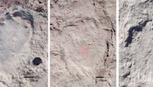 追寻燕赵大地上的“龙迹”！宣化发现国内单点面积最大、数量最多的恐龙足迹