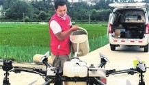 无人机飞防作业加强水稻田间管护