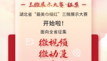 有奖征集！湖北省“最美巾帼红” 网络三微展示大赛启动
