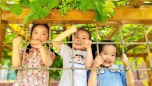 山东济南：幼儿园生活中的美好瞬间