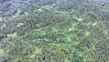 扎根深山 守护一方绿色 ——龙里县三代护林员接力守护20余万亩森林