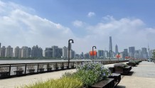 让城市更有温度！杨浦滨江空间无障碍创新示范区建设正式启动