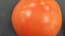 这种毒素存在致癌风险！和你常吃的西红柿有关......