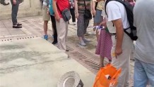 南京一景区回应小孩坠入盖板塌洞：已及时送医，会增设警示标识